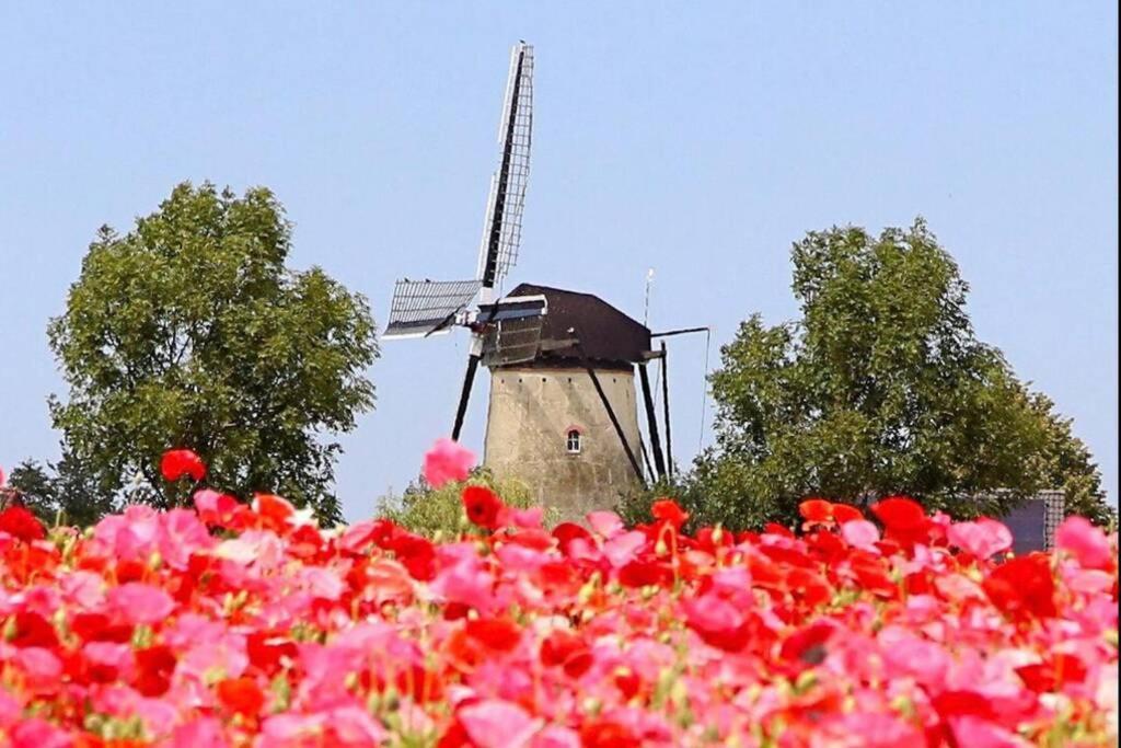 圣安娜兰Huisje Vogelenzang Zeeland别墅 外观 照片