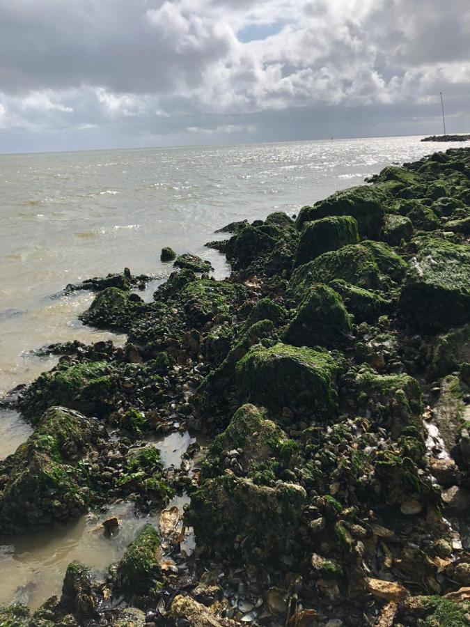 圣安娜兰Huisje Vogelenzang Zeeland别墅 外观 照片