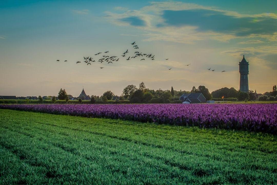 圣安娜兰Huisje Vogelenzang Zeeland别墅 外观 照片