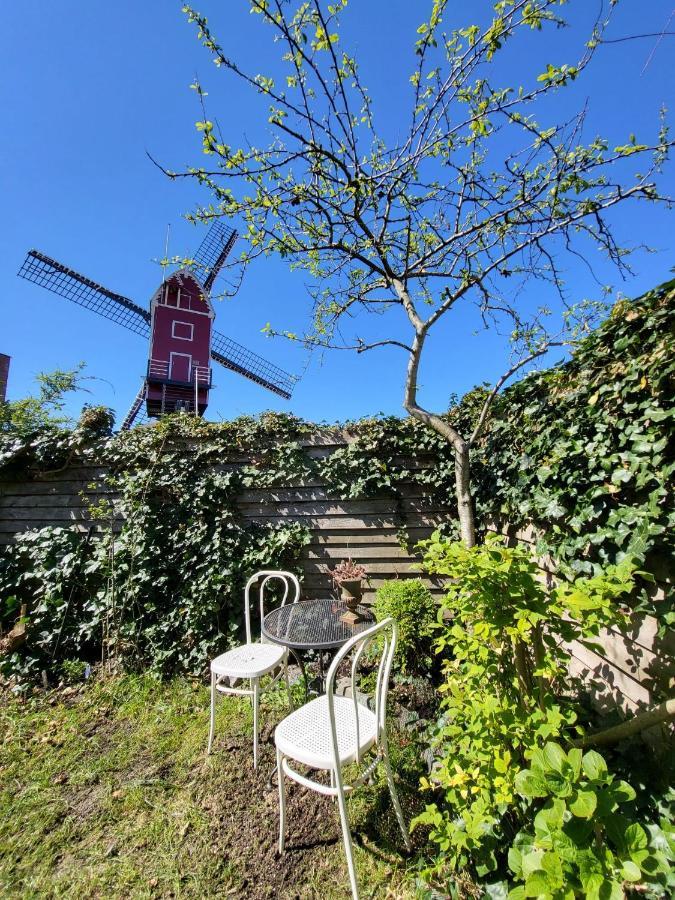 Huisje Vogelenzang Zeeland 圣安娜兰 外观 照片